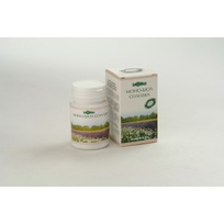 Моно-биол Солодка таблетки №90